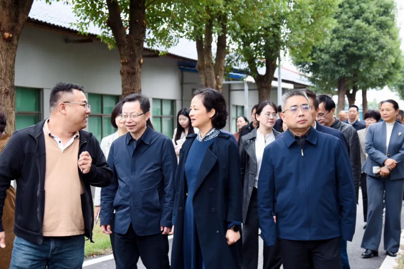 ίԱ ټҵչ ˱ӲίԱͶĿ