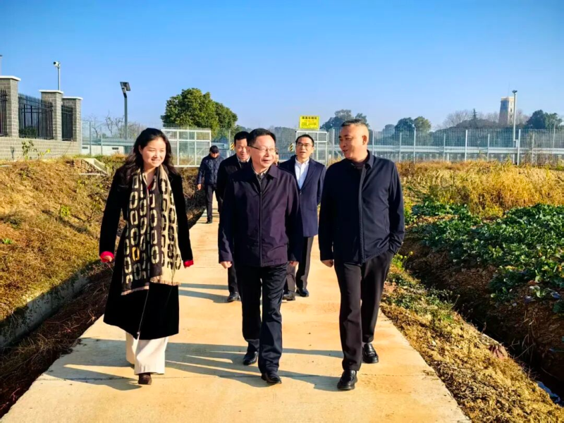 ���������佭����ʱǿ�� �����������ںϡ� �������ò�ҵ��չ